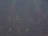 photo2006286_small.jpg