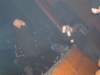 photo2006398_small.jpg