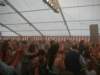 photo2007075_small.jpg